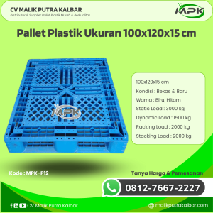 Pallet Plastik Baru & Bekas 100x120x15 [MPK-P12]