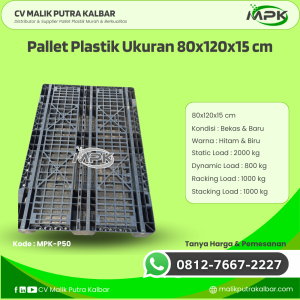 Pallet Plastik Baru & Bekas 80x120x15 [MPK-P50]