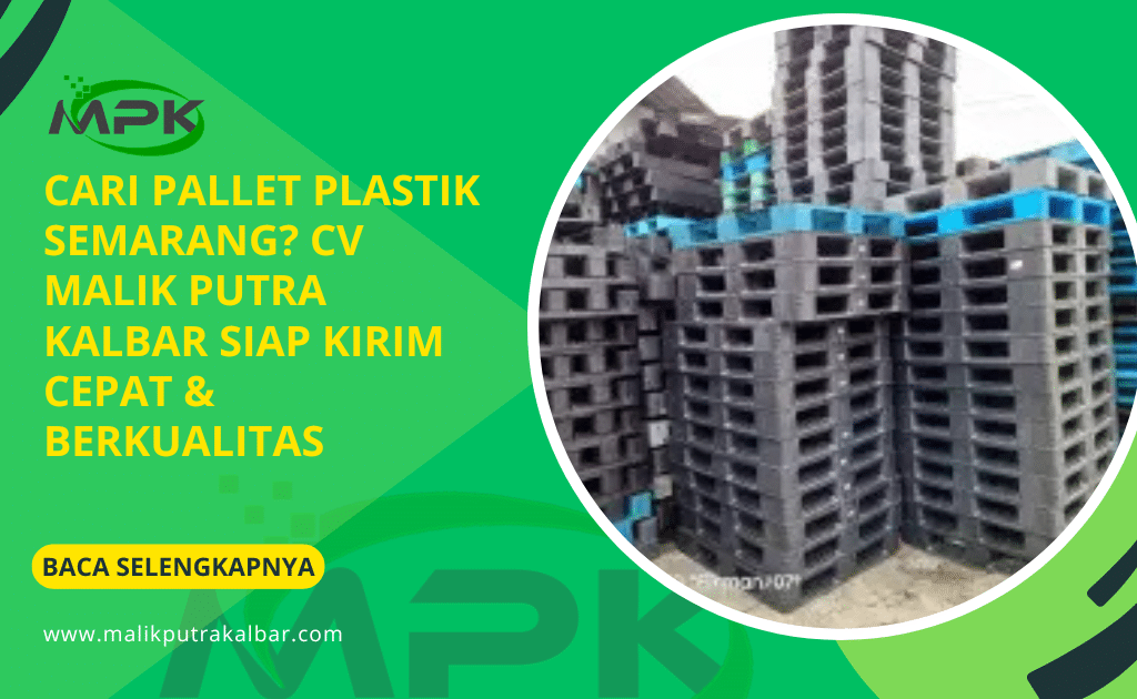Cari Pallet Plastik Semarang? CV Malik Putra Kalbar Siap Kirim Cepat & Berkualitas 2 Cari Pallet Plastik Semarang CV Malik Putra Kalbar Siap Kirim Cepat Berkualitas