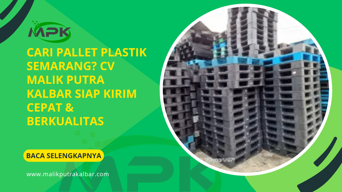 Cari Pallet Plastik Semarang? CV Malik Putra Kalbar Siap Kirim Cepat & Berkualitas 3 Cari Pallet Plastik Semarang? CV Malik Putra Kalbar Siap Kirim Cepat & Berkualitas