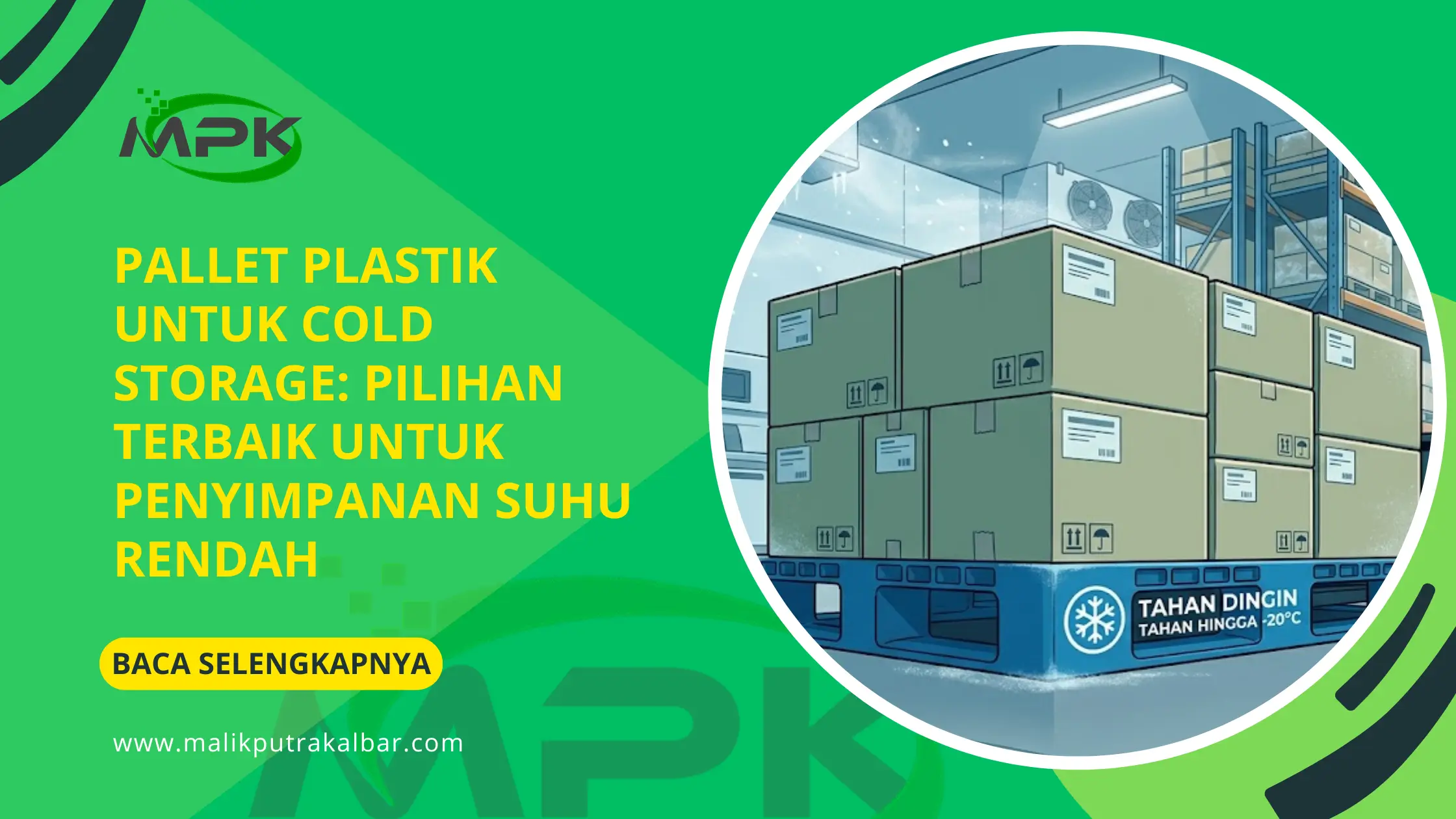 Pallet Plastik untuk Cold Storage: Pilihan Terbaik untuk Penyimpanan Suhu Rendah